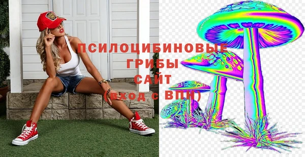 СК Зеленокумск