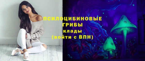 дживик Зеленодольск