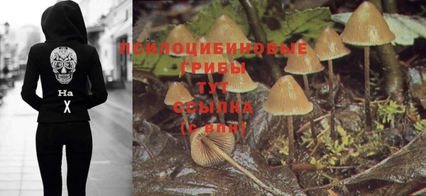 СК Зеленокумск
