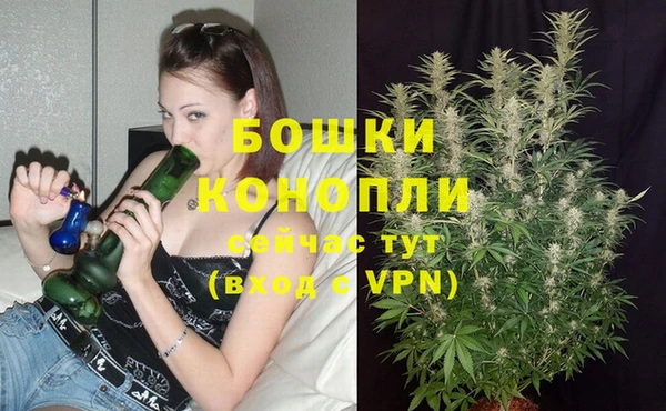 СК Зеленокумск