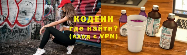 СК Зеленокумск