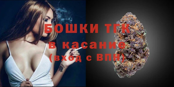 дживик Зеленодольск