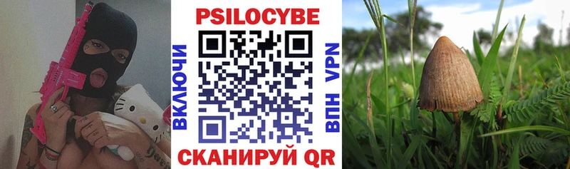 Псилоцибиновые грибы ЛСД  Норильск 