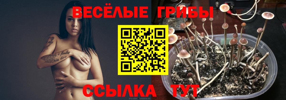 Псилоцибиновые грибы мухоморы  Вход с VPN  Норильск 
